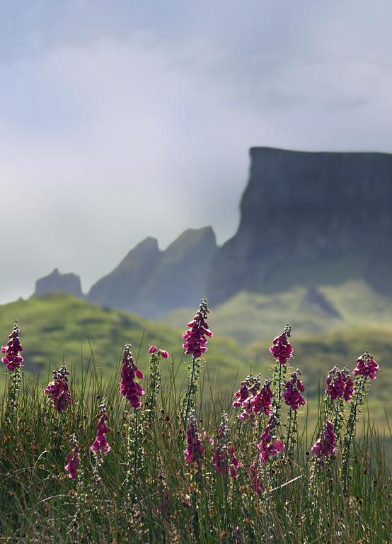 Storr Apartments Portree Buitenkant foto